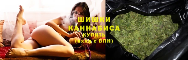 ПСИЛОЦИБИНОВЫЕ ГРИБЫ Абаза