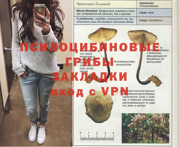 МДПВ Алексеевка