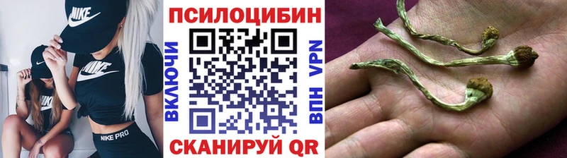 Галлюциногенные грибы Cubensis  где можно купить   Шадринск 